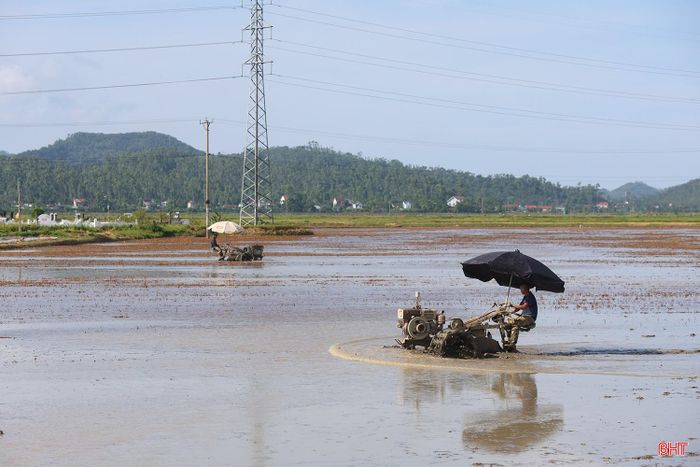 Những cánh đồng rộng lớn, bằng phẳng, đồng bộ về hạ tầng giao thông, kênh mương đã tạo thuận lợi cho việc đẩy mạnh cơ giới hóa, góp phần nâng cao hiệu quả canh tác cho người dân.