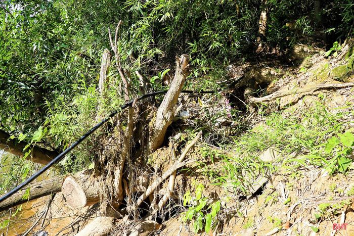  Ông Nguyễn Xuân Lâm (thôn Hạ Tứ, xã Đức Quang) cho hay: “Nhà tôi ở ngay sát bờ sông, mỗi mùa mưa lũ đều phải di chuyển đồ đạc, gia súc lên khu vực cao hơn để tránh thiệt hại. Tình trạng sạt lở diễn ra liên tiếp và ngày càng nghiêm trọng khiến người dân rất lo lắng. Nếu bờ sông tiếp tục bị khoét sâu, không chỉ đất vườn mà cả nhà cửa cũng có nguy cơ bị cuốn trôi". 
