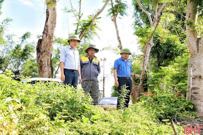  Ông Đặng Thanh Bình (người ở giữa) - Trưởng thôn Hoa Đình, xã Đức Quang cho biết: “Là khu vực hạ du ven sông nên mỗi mùa mưa lũ, người dân trong thôn đều gặp nhiều khó khăn, vất vả. Từ năm 2025 đến nay, tình trạng sạt lở diễn biến nghiêm trọng, có đoạn lòng sông khoét sâu vào đất liền từ 5-7m, tạo thành vách cao khoảng 1,5-2m. Qua các cuộc họp thôn, người dân đều bày tỏ mong muốn sớm được đầu tư xây dựng bờ kè nhằm hạn chế sạt lở, ổn định cuộc sống lâu dài". 