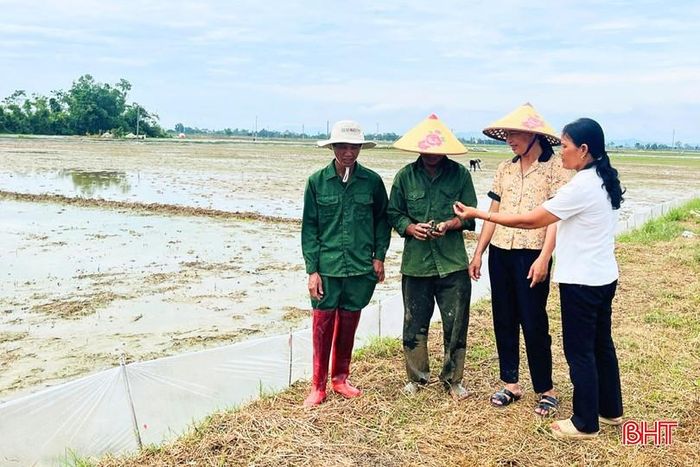 Người dân chủ động kiểm tra đồng ruộng, triển khai diệt ốc bươu vàng ngay từ đầu vụ.