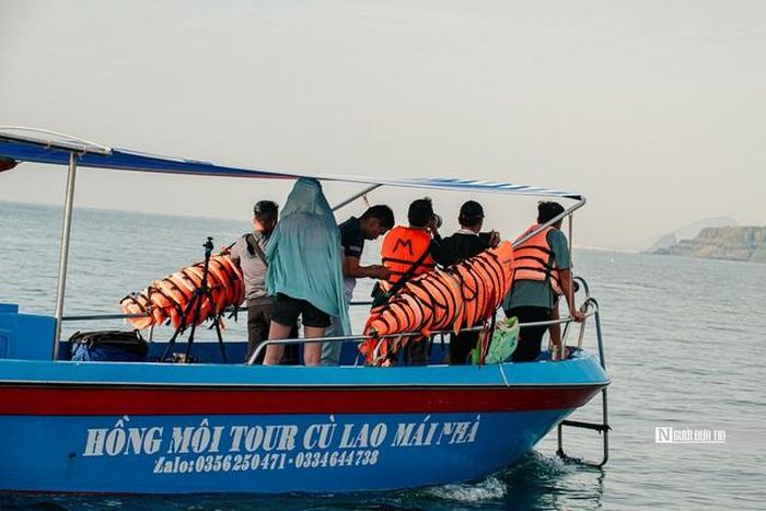 Ngư dân, du khách được khuyến cáo cách xa 100 - 300 m, hạn chế tốc độ và tốt nhất nên tắt động cơ để tránh làm ảnh hưởng môi trường sống của cá voi.