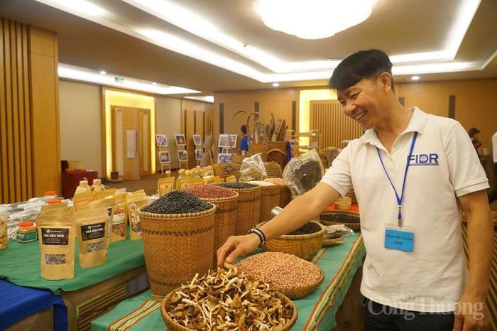 Giới thiệu các sản phẩm miền núi được hỗ trợ phát triển, kết nối quảng bá, tiêu thụ trong khuôn khổ dự án EMMi