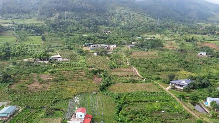 Một góc của vùng cây ăn quả.