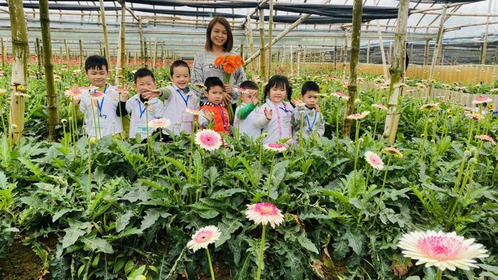 Học sinh tham quan, trải nghiệm mô hình trồng hoa đồng tiền tại Hợp tác xã hoa Đồng Tháp, xã Đan Phượng. Ảnh: Nguyễn Cường
