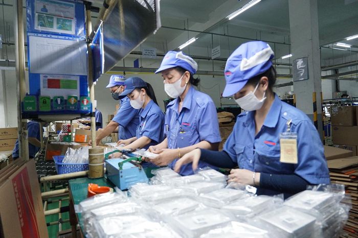 Công nhân làm việc tại dây chuyền sản xuất linh kiện phụ trợ của Công ty TNHH Sản xuất và Thương mại Cát Thái, phường Long Phước, TPHCM. ẢNH: HOÀNG HÙNG 