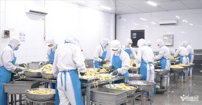Măng Bát Độ được nhà máy bao tiêu và chế biến sâu theo tiêu chuẩn quốc tế. Lực lượng lao động chính của nhà máy là người DTTS tại địa phương