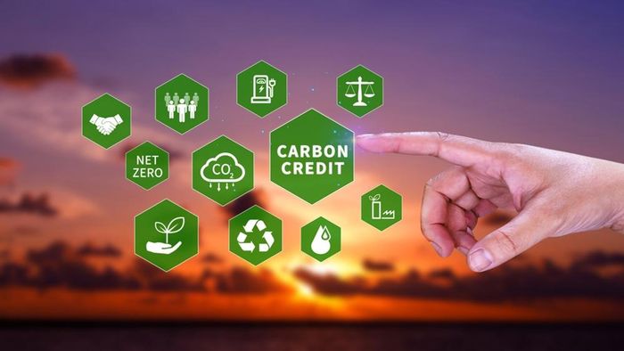 Các quốc gia châu Á và các nền kinh tế mới nổi ngày càng đóng vai trò quan trọng hơn, không chỉ với tư cách là nguồn cung tín chỉ mà còn là những thị trường tiêu thụ và trung tâm giao dịch mới.