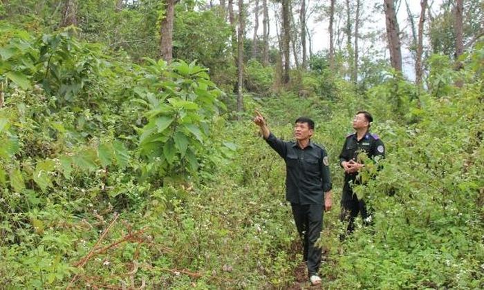 Anh Nguyễn Văn Bình (trước) tuần tra, bảo vệ rừng tự nhiên Khuôn Thần.