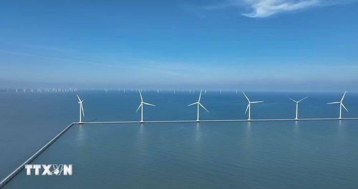Nhà máy điện gió Hòa Bình 1 + 2, tỉnh Cà Mau, mỗi năm 2 nhà máy sản xuất khoảng 400 triệu KWh hòa vào lưới điện góp phần đảm bảo an ninh năng lượng quốc gia. (Ảnh: Vũ Sinh/TTXVN)