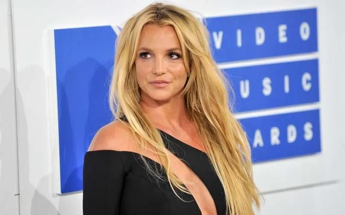 Theo mô tả từ phía cảnh sát, Britney Spears có biểu hiện thay đổi cảm xúc thất thường trong suốt quá trình làm việc.