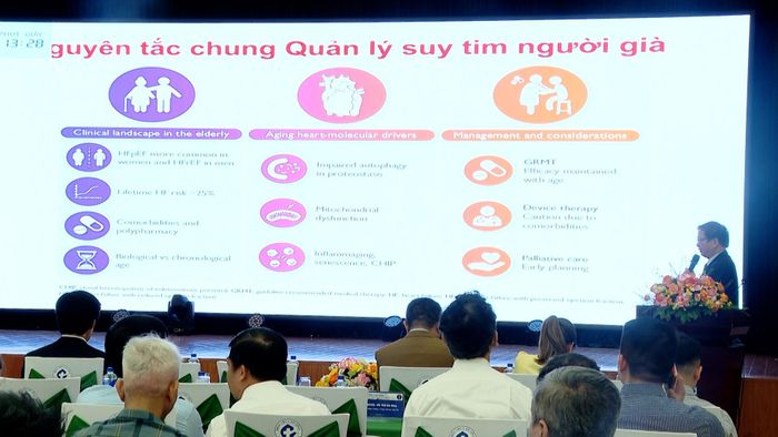 Chuyên gia báo cáo chuyên đề tại hội nghị. Ảnh: DIỄM HƯƠNG - TRƯỜNG SƠN