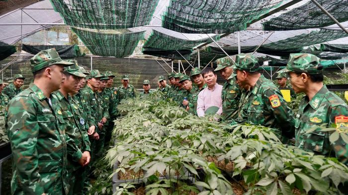 Đại biểu thăm quan vườn sâm của Hợp Tác xã Bảo tồn và phát triển giống Sâm núi Lai Châu tại bản Xin Chải (xã Tả Lèng). 