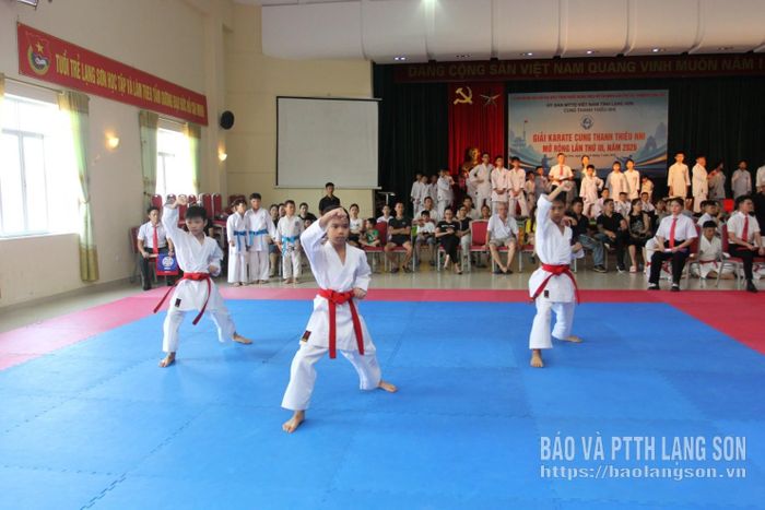 Vận động viên thi đấu ở hạng mục quyền đồng đội