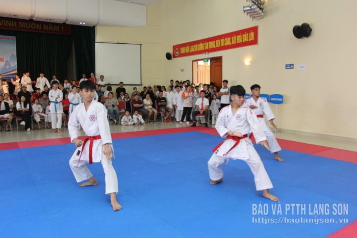 Vận động viên thi đấu ở hạng mục quyền đồng đội