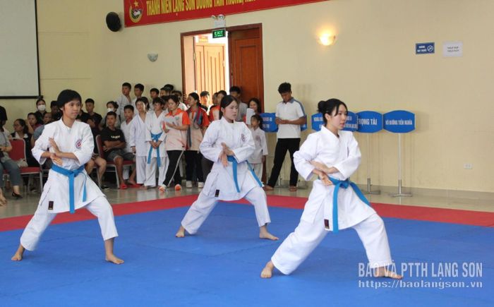 Vận động viên thi đấu ở hạng mục quyền đồng đội