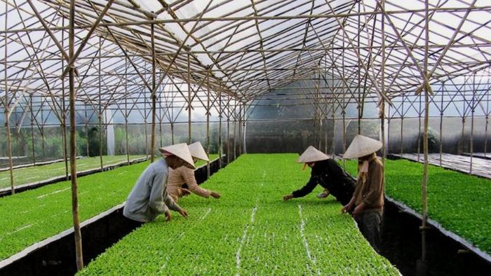 Các doanh nghiệp cần xây dựng hệ thống cập nhật thông tin SPS một cách chủ động