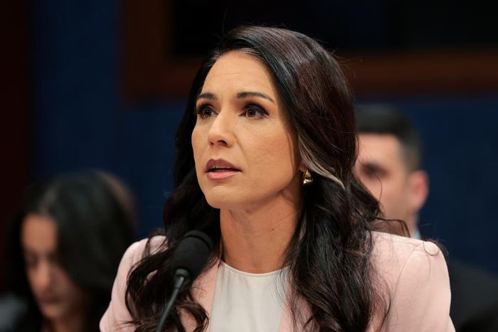 Giám đốc Tình báo Quốc gia Mỹ Tulsi Gabbard bất ngờ tuyên bố từ chức. (Nguồn: Reuters)