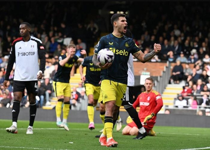 Newcastle thắng đến 9/12 lần chạm trán Fulham gần đây