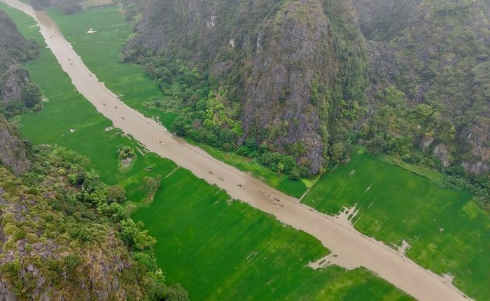 Cánh đồng lúa Tam Cốc dọc hai bờ sông Ngô Đồng được xem là một trong những cánh đồng lúa đẹp nhất Việt Nam