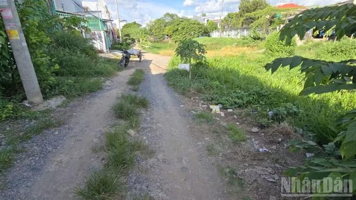 Con đường đất bên rạch Bà Bầu mùa mưa thì ngập do nước thoát không kịp