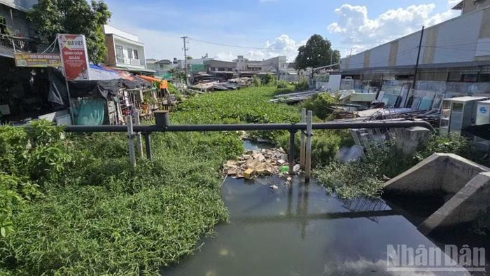 Rạch Cái Sơn gánh nguồn nước thải của nhiều nơi.