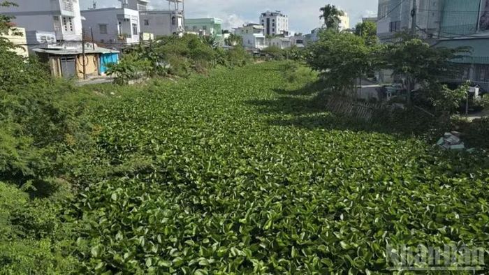 Tình trạng ô nhiễm chung của Rạch Cái Sơn, Rạch Bà Bầu, Rạch Ông Mạnh.