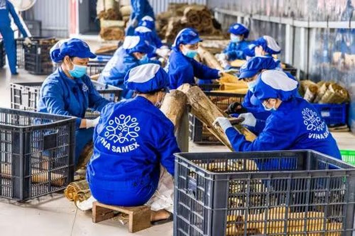 Khối doanh nghiệp nhỏ và vừa yếu thế về vốn và công nghệ. (Ảnh: Vietnam+)