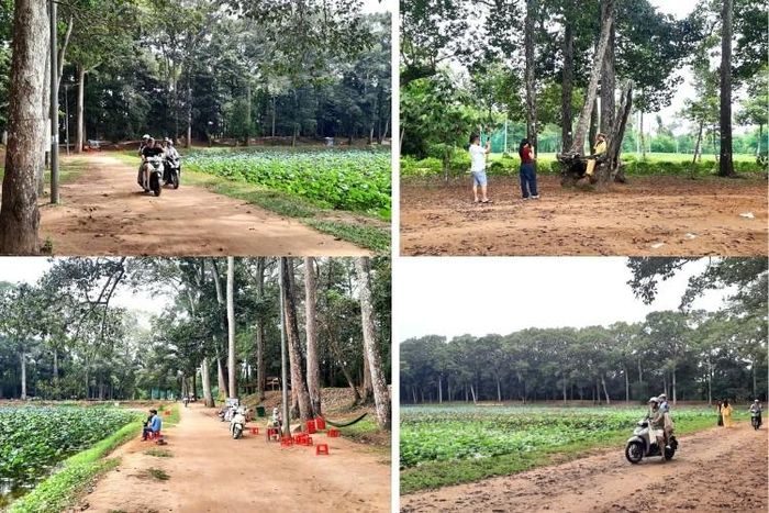 Du khách tham quan, chụp ảnh lưu niệm và tận hưởng không gian xanh mát, yên bình tại thắng cảnh Ao Bà Om. Ảnh: Trường Vũ.