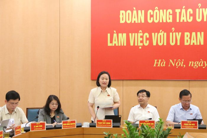 Phó Chủ nhiệm Ủy ban Kinh tế và Tài chính Phạm Thúy Chinh phát biểu