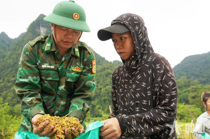 Thượng tá Dương Đình Hoàn, Chính trị viên Đồn Biên phòng Cà Xèng (Bộ đội Biên phòng tỉnh Quảng Trị) cùng người Rục ở bản Mò O Ồ Ồ, xã Kim Phú thu hoạch lúa. 