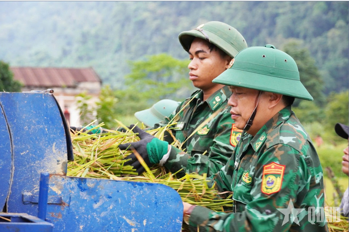 Cán bộ, chiến sĩ Đồn Biên phòng Cà Xèng (Bộ đội Biên phòng tỉnh Quảng Trị) giúp đồng bào Rục thu hoạch lúa.