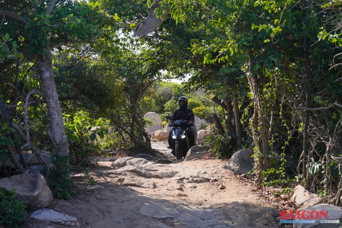  Hiện giá vé tham quan công viên đá Ninh Thuận là 40.000 đồng/người. Xe máy có thể di chuyển vào gần khu vực công viên, riêng ô tô gửi bên ngoài sau đó đi bộ khoảng 600m đến điểm tham quan 