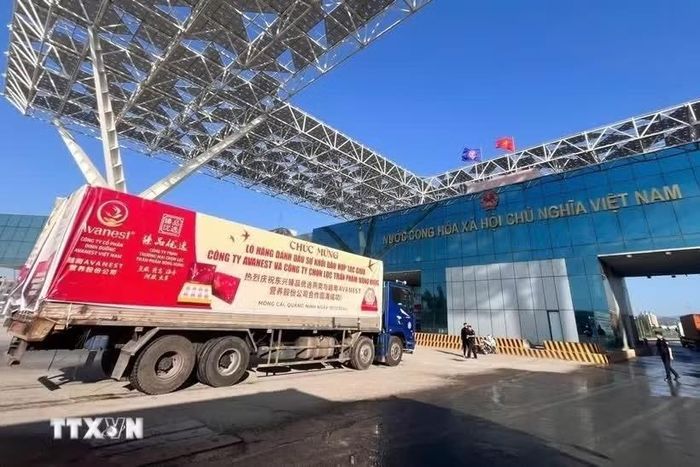 Đối với tài liệu đánh giá rủi ro các sản phẩm liên quan đến Lệnh 280 của Trung Quốc, sản phẩm phải có thư giới thiệu chính thức của cơ quan có thẩm quyền khi đăng ký mã doanh nghiệp. Ảnh: TTXVN