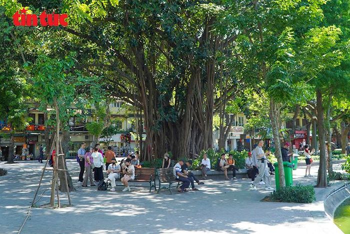 Một gốc cây lớn trở thành điểm nghỉ tạm của người dân và du khách giữa trưa nắng. Ảnh: Lê Phú/Báo Tin tức và Dân tộc.