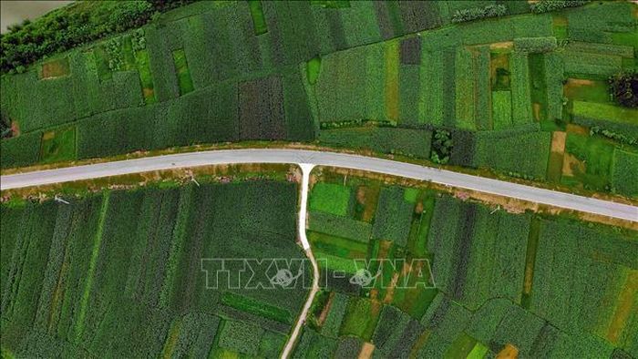 Dự án nâng cấp, mở rộng Quốc lộ 8C đoạn từ xã Tứ Mỹ đến nút giao đường Hồ Chí Minh (xã Hương Sơn) dài 16,7km.