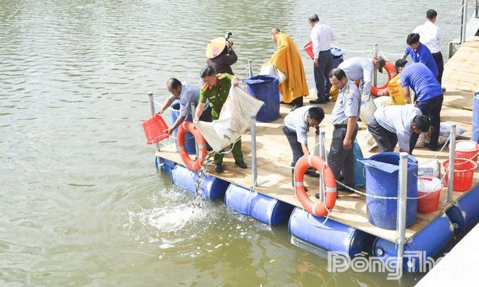 Các ngành chức năng tỉnh Đồng Tháp tổ chức thả cá tái tạo nguồn lợi thủy sản, góp phần phục hồi hệ sinh thái và nâng cao ý thức cộng đồng trong bảo vệ môi trường, không khai thác thủy sản theo hình thức tận diệt.