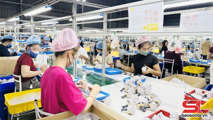 Công nhân Công ty TNHH Đồ chơi Sơn La tập trung hoàn thiện sản phẩm trên dây chuyền.