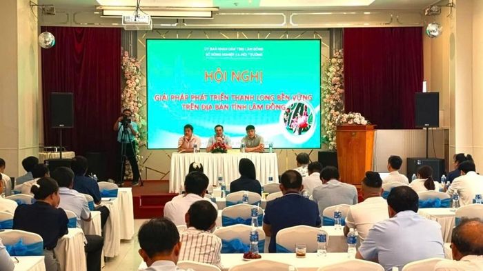 Hội nghị “Giải pháp phát triển thanh long bền vững trên địa bàn tỉnh Lâm Đồng”