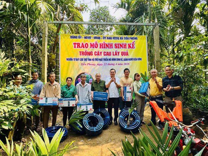 Mô hình sinh kế trồng cau lấy quả tại xã Tiền Phong từ nguồn kinh phí 500 triệu đồng của Quỹ Vì người nghèo và cứu trợ tỉnh Nghệ An.