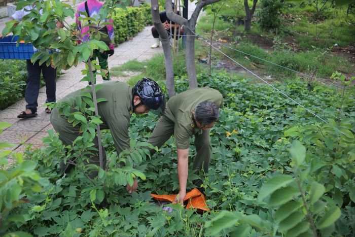 Khi phát hiện lực lượng chức năng tuần tra, một số người buôn bán tự phát tại khu vực cầu Bình Đức nhanh chóng thu dọn hàng hóa ném xuống dạ cầu nhằm né tránh kiểm tra, xử lý của cơ quan chức năng. Ảnh: PHẠM HẢI