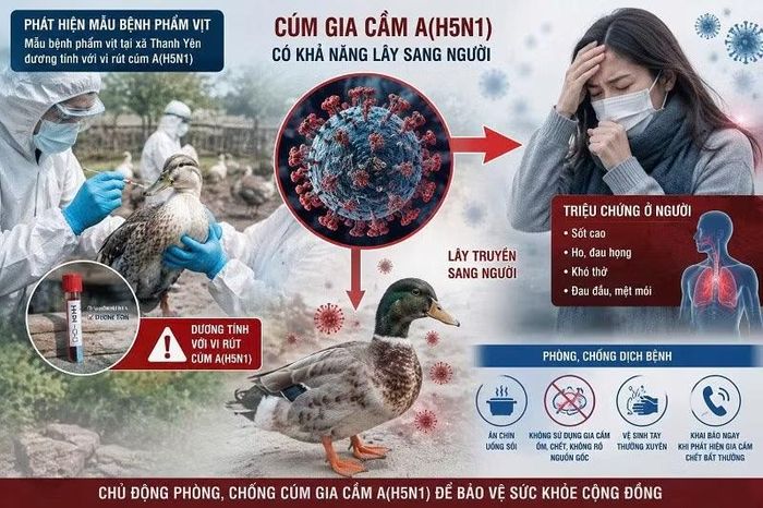 Điện Biên kêu gọi chủ động phòng, chống virus cúm A (H5N1) - chủng vi-rút cúm gia cầm có khả năng lây nhiễm sang người.