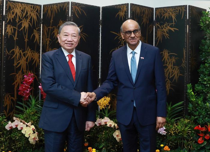 Tổng Bí thư, Chủ tịch nước Tô Lâm và Tổng thống Singapore Tharman Shanmugaratnam. Ảnh: TTXVN
