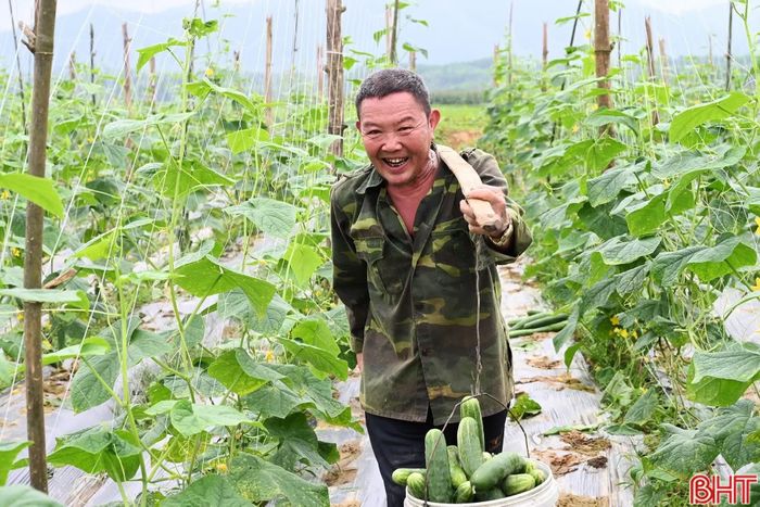 Nhiều TTHC liên quan trực tiếp đến doanh nghiệp và người dân đã được phân cấp, phân quyền.