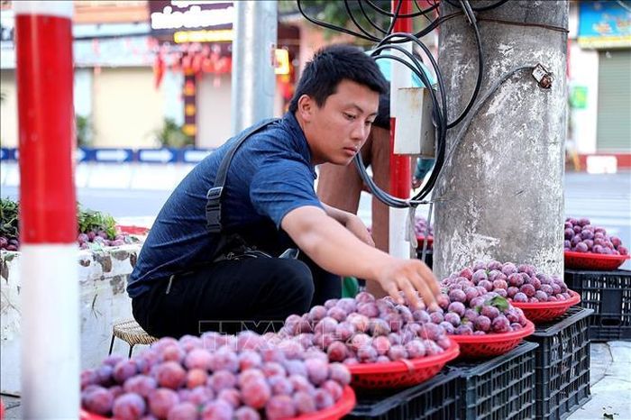 Người bán hoa quả bày bán hàng ngay từ sáng sớm để tránh nắng nóng.