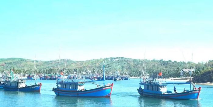  Chính sách hỗ trợ giải bản tàu cá và chuyển đổi nghề cho ngư dân thể hiện quyết tâm của tỉnh trong phát triển thủy sản theo hướng bền vững. Ảnh: N.T 