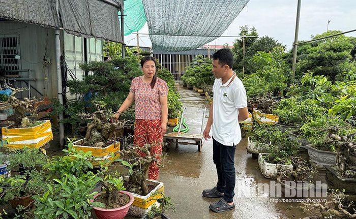 Nhà vườn Tạ Dung của gia đình chị Đỗ Thị Dung thu hút khách tham quan, chọn mua cây cảnh.