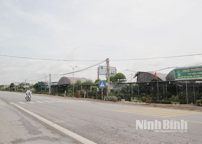 Phố hoa Nam Điền, phường Vị Khê tập trung nhiều hộ gia đình trồng, kinh doanh hoa, cây cảnh.
