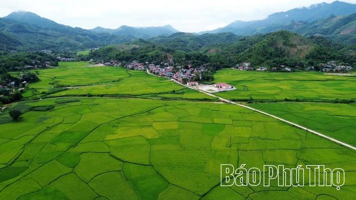 Sức sống mới trên vùng đất khó Xuân Đài.