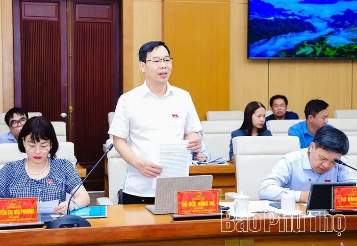 Thành viên đoàn công tác phát biểu tại hội nghị.