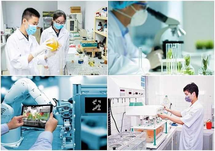 Các tổ chức nghiên cứu được yêu cầu ban hành quy tắc liêm chính đối với việc ứng dụng trí tuệ nhân tạo (AI) theo Hướng dẫn của Bộ Khoa học và Công nghệ. (Ảnh: Báo Chính phủ).